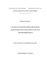 Các nhân tố ảnh hưởng đến rủi ro tín dụng tại ngân hàng TMCP ngoại thương việt nam   chi nhánh bình thuận 