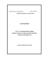 Xử lý vi phạm hành chính trong lĩnh vực bảo vệ môi trường ở Việt Nam hiện nay.