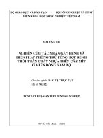Nghiên cứu tác nhân gây bệnh và biện pháp phòng trừ bệnh thối thân chảy nhựa trên cây mít ở miền đông nam bộ tt 
