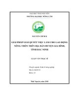 Giải pháp giải quyết việc làm cho lao động nông thôn trên địa bàn huyện Gia Bình, tỉnh Bắc Ninh (Luận văn thạc sĩ)