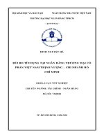Rủi ro tín dụng tại ngân hàng TMCP việt nam thịnh vượng chi nhánh hồ chí minh 