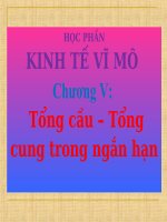 Bai giang kinh tế vĩ mô   chương 5  Tổng cầu tổng cung trong ngắn hạn