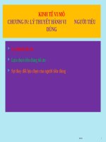 Bai giang   kinh tế vi mô   lý thuyết hành vi người tiêu dùng   chương 4