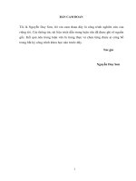 Hoàn thiện mô hình quản lý tại ban quản lý dự án cơ sở hạ tầng thủy lợi ninh bình 