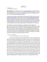 TIEU LUAN QUY LUAT GIA TRỊ 