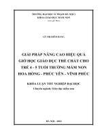 Giải pháp nâng cao hiệu quả giờ học giáo dục thể chất cho trẻ 4   5 tuổi trường mầm non hoa hồng   phúc yên   vĩnh phúc 