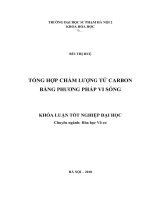 Nghiên cứu tổng hợp chấm lượng tử carbon bằng phương pháp vi sóng 