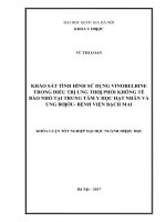 Khảo sát tình hình sử dụng vinorelbine trong điều trị ung thư phổi không tế bào nhỏ tại trung tâm y học hạt nhân và ung bướu bệnh viện bạch mai  