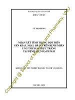 Nhận xét tình trạng đột biến gen KRAS, NRAS, BRAF trên bệnh nhân ung thư đại trực tràng tại bệnh viện bạch mai 