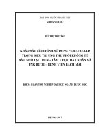 Khảo sát tình hình sử dụng pemetrexed trong điều trị ung thư phổi không tế bào nhỏ tại trung tâm y học hạt nhân và ung bướu   bệnh viện bạch mai 