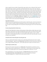 Tìm hiểu về airbnb clone 