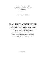 Động học quá trình hấp phụ fe3+ trên vật liệu hấp thu tổng hợp từ bã chè 