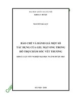 Bào chế và đánh giá một số tác dụng của gel mật ong trong hỗ trợ chăm sóc vết thương 