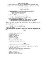 Cấu trúc đề thi HSG huyen