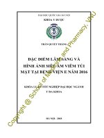 Đặc điểm lâm sàng và hình ảnh siêu âm viêm túi mật tại bệnh viện e năm 2016 