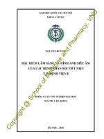 Đặc điểm lâm sàng và hình ảnh siêu âm của các bệnh nhân sỏi tiết niệu tại bệnh viện e 