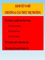 Bai giang- Kinh tế vi mô - Cấu trúc thị trường (chương 6)