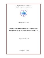 Nghiên cứu quy trình sản xuất rượu vang trái cây từ nước dừa cocos nucifera tại phú yên 