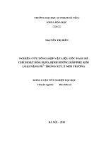 Nghiên cứu tổng hợp vật liệu gốc PANi bã chè hoạt hóa H3PO4 định hướng hấp phụ kim loại nặng pb2+ trong xử lý môi trường 