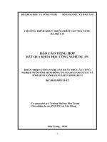 Hoàn thiện công nghệ sản xuất thức ăn công nghiệp nuôi tôm hùm bông và tôm hùm xanh