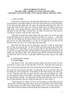 KINH NGHIỆM xây DỰNG tổ CHỨC đội,  NHÓM  kỹ NĂNG CHUYÊN môn góp PHẦN xây DỰNG đội VỮNG MẠNH TRONG TRƯỜNG THCS