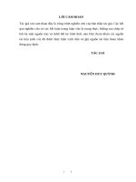 Nâng cao chất lượng đầu tư các dự án cấp nước sạch nông thôn của các huyện ngoại thành hà nội 