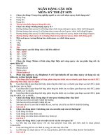 NGÂN HÀNG CÂU HỎI MÔN: KỸ THUẬT SƠN CÓ ĐÁP ÁN