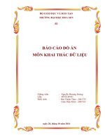 BÁO CÁO ĐỒ ÁN MÔN KHAI THÁC DỮ LIỆU