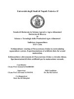 Echinoculture  rearing of paracentrotus lividus in recirculating aquaculture system  experimentations of artificial diets for sexual maturation 