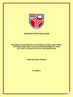 Dynamic of nutrients in a recirculating aquaponic system using red tilapia (oreochromis sp ) and lettuce (lactuca sativa varlongifolia) 