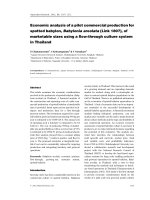 Economic analysis of a pilot commercial produc 