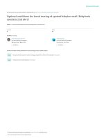 Optimal conditions for larval rearing of spott 