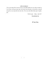 Nghiên cứu giải pháp nâng cao hiệu quả công tác quản lý dự án đầu tư xây dựng tại ban quản lý dự án huyện chợ mới, tỉnh bắc kạn 