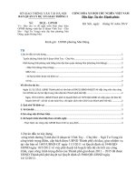 C NG HOA XA h i CH NGHIA VI t NAM BAN QU 