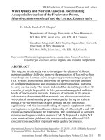 Water quality and nutrient aspects in recirculating aquaponic production of the freshwater prawn, macrobrachium rosenbergii and the lettuce 