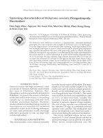 Spawning characteristics of babylonia areolata 