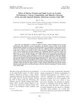 Effect of dietary protein and lipid levels on 