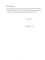 Nghiên cứu giải pháp gia cố kênh mương công trình thủy lợi bằng công nghệ vật liệu neoweb   ứng dụng cho kênh chính bắc hồ phú ninh, tỉnh quảng nam 