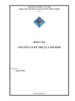 Kỹ thuật lâm nghiệp: Kỹ thuật tạo rừng, chăm sóc, nuôi dưỡng và khai thác rừng