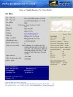 BÁO CÁO PHÂN TÍCH DOANH NGHIỆP , Công ty Cổ phần Bourbon Tây Ninh (HoSE)