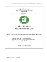 BÁO CÁO ĐỒ ÁN NHẬP MÔN XỬ LÝ ẢNH Đề tài Phát hiện biên theo phương pháp Sobel & Canny