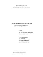 BÁO CÁO KẾT QUẢ THỰC HÀNH CÔNG NGHỆ SINH HỌC