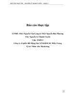 BÁO CÁO THỰC TẬP TẠI Công ty cổ phần Bất Động Sản LINKHOUSE Miền Trung,Vị trí: Nhân viên Marketing