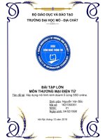 BTL Thương Mại Điện Tử