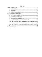 BÁO CÁO TIỂU LUẬN MÔN HỌC GIS