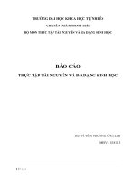 BÁO CÁO THỰC TẬP TÀI NGUYÊN VÀ ĐA DẠNG SINH HỌC
