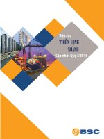 BÁO CÁO TRIỂN VỌNG NGÀNH, CHIẾN LƯỢC ĐẦU TƯ NGÀNH QUÝ I NĂM 2015