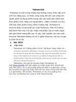 BÁO CÁO NGHIÊN CỨU VỀ ĐƯỜNG TRehalose