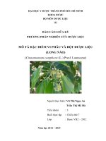 BÁO CÁO GIỮA KỲ-PHƯƠNG PHÁP NGHIÊN CỨU DƯỢC LIỆU -MÔ TẢ ĐẶC ĐIỂM VI PHẪU VÀ BỘT DƯỢC LIỆU(LONG NÃO)