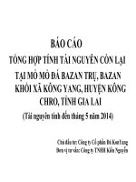 BÁO CÁO TỔNG HỢP TÍNH TÀI NGUYÊN CÒN LẠI TẠI MỎ MỎ ĐÁ BAZAN TRỤ, BAZAN KHỐI XÃ KÔNG YANG, HUYỆN KÔNG CHRO, TỈNH GIA LAI